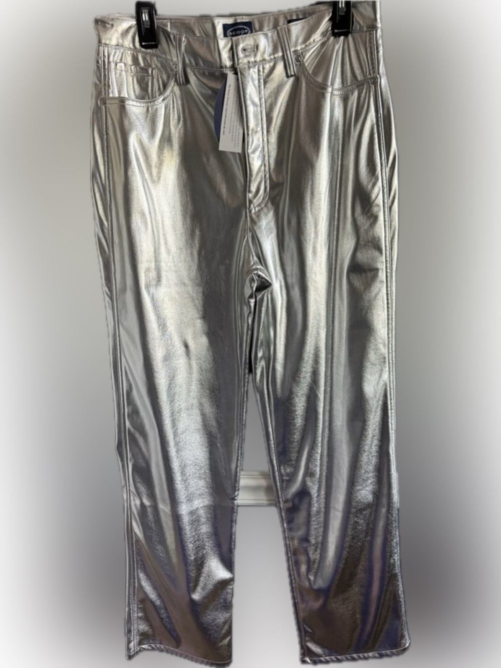Silver Metallic Women’s Pants